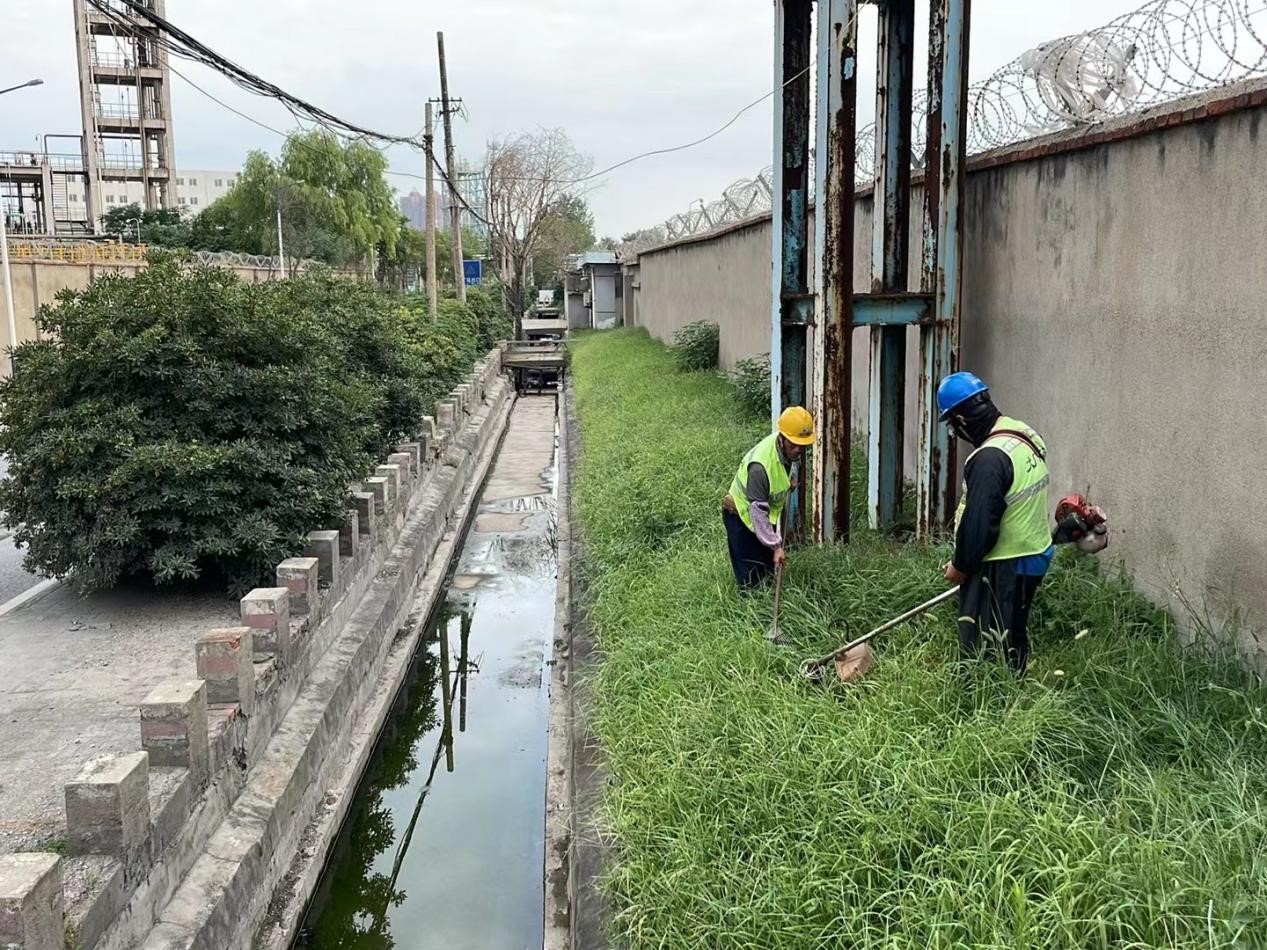 凤凰联盟清理河道杂草推进保洁养护工作