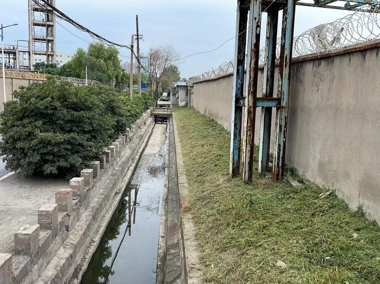 凤凰联盟清理河道杂草推进保洁养护工作(图2)