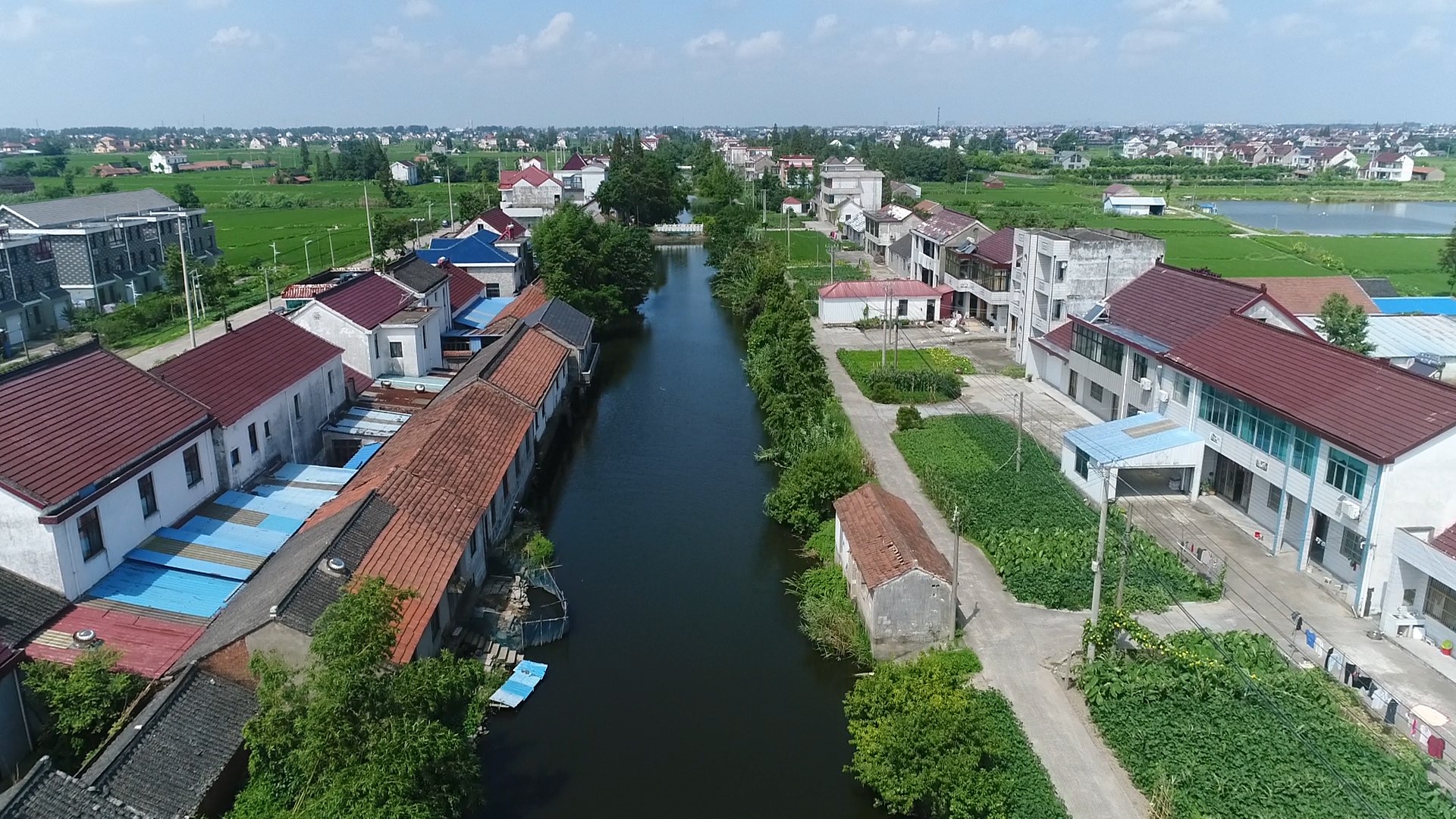 如皋丁堰镇刘海村:党建引领乡村振兴
