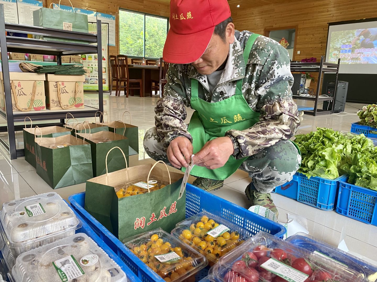 工人正在为小番茄贴食用农产品合格证