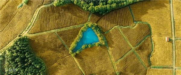 说明: https://aliypic.oss-cn-hangzhou.aliyuncs.com/Uploadfiles/20211111/2021111109464848.032.jpeg