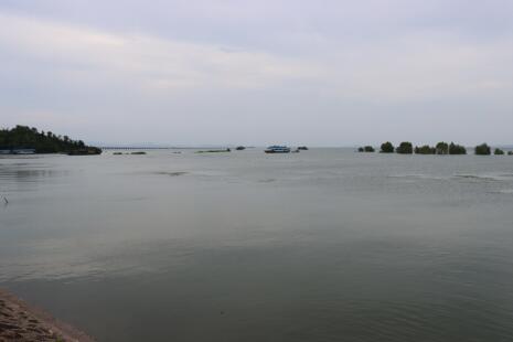 图为水位高起的石臼湖高淳古柏段水面