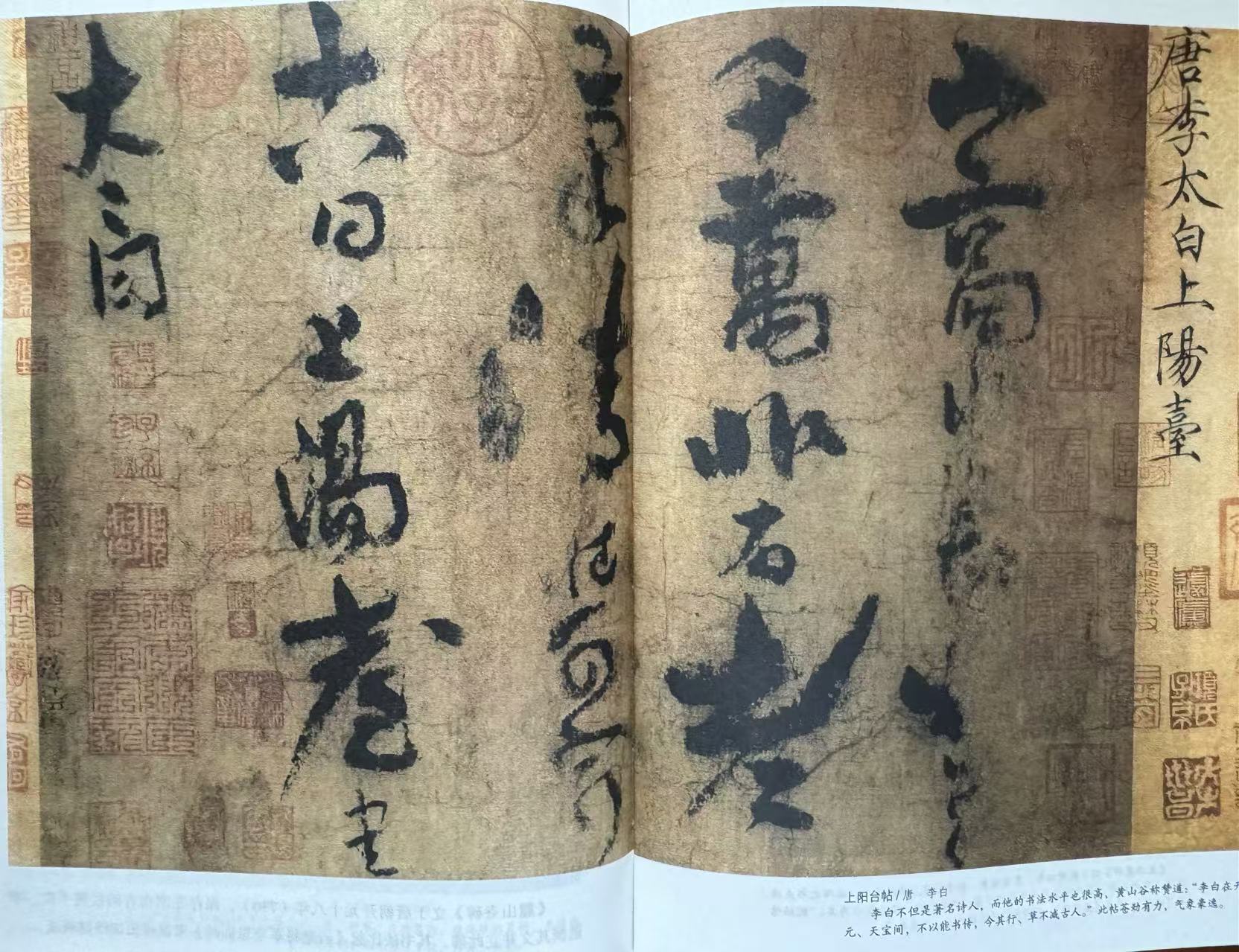 微信图片_20250918080309_36_1185.jpg