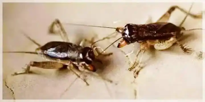 微信图片_20250923164039_309_301.png
