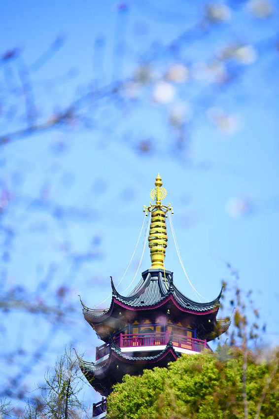 图10.jpg
