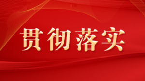 贯彻落实.png